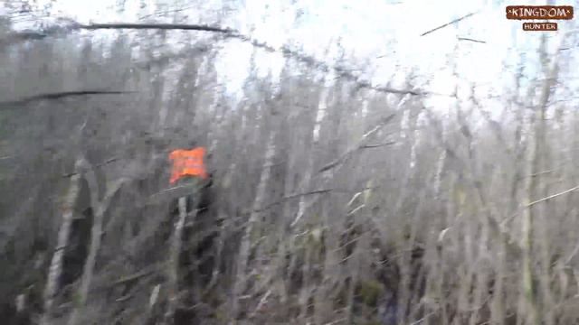 Охота на кабана и косулю в одном из лучших хозяйств Украины(с участием Астахова и Kiev Hunters) Ч. смотреть онлайн