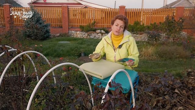 НИ ОДНА РОЗА НЕ ЗАМЕРЗНЕТ! Как проще всего укрыть розы на зиму? смотреть онлайн