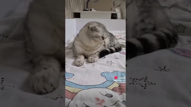 Почему ты постоянно мне выносить мозг?