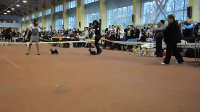 Моно сравнение бэби смотреть онлайн