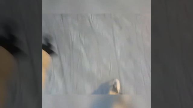 26.01.2018/ День рождения /1 часть смотреть онлайн