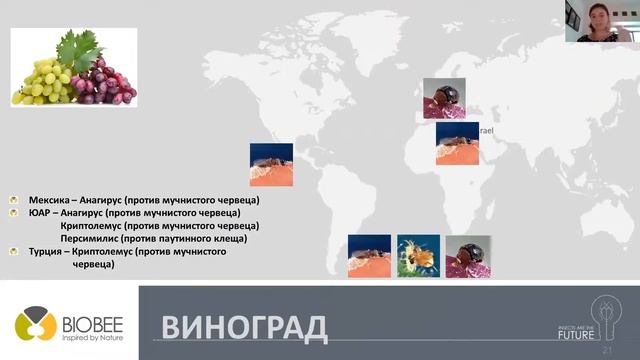 Ukrainian Agriculture Export Association webinar смотреть онлайн