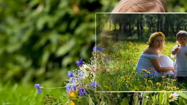 Полевые цветы смотреть онлайн