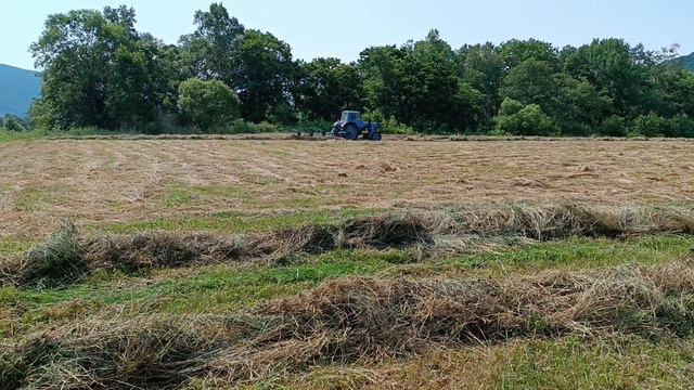Сенокос смотреть онлайн