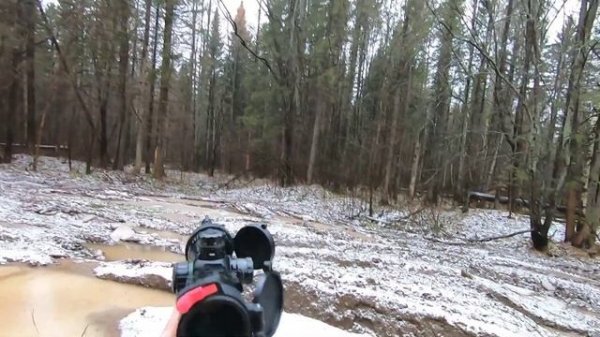 Загонная охота на лося и кабана.