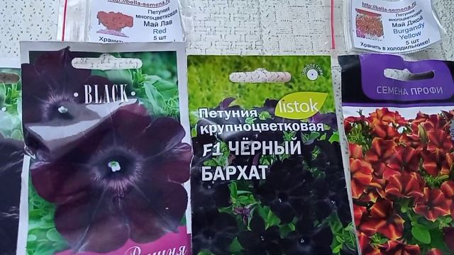 #посевпетуния Ампельная петуния. Какую сею? смотреть онлайн