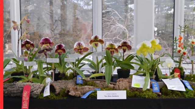 2016 Winter Carnival Orchid Show смотреть онлайн