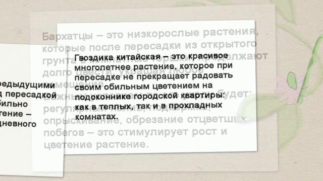Пересадки растений своими руками. смотреть онлайн