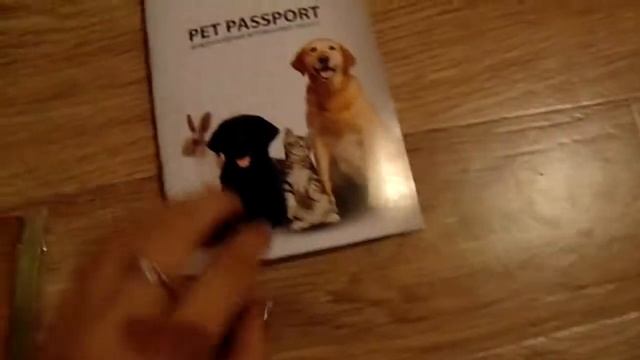 Получили паспорт на собаку.