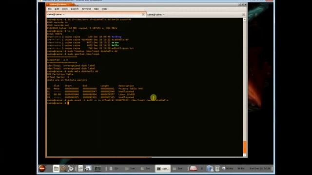MD5 Hash collision o preimage? un esperimento con CAINE смотреть онлайн