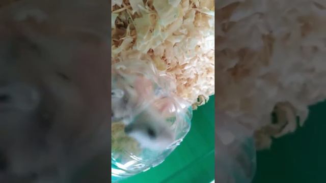 3 декабря 2020 г. смотреть онлайн