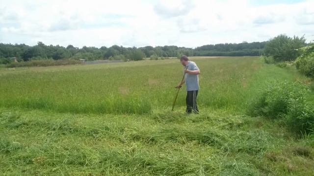 Заготовка сена 2ч. смотреть онлайн