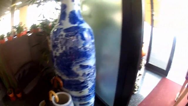 Аллергия бр / Здравствуйте СУШИ / Дорвалась / Мода и я отсталая ха ха смотреть онлайн