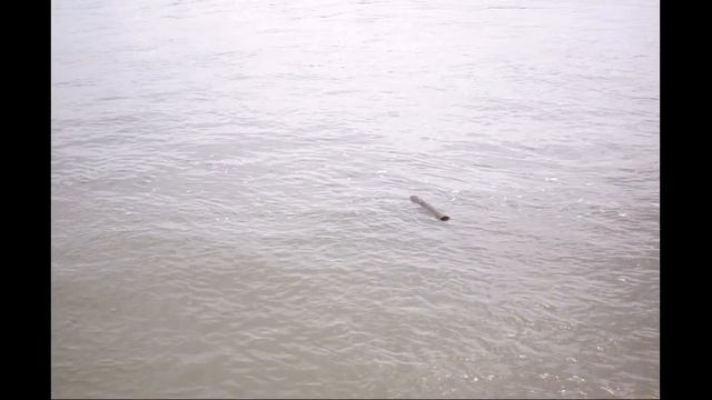 с. Шадрино смотреть онлайн