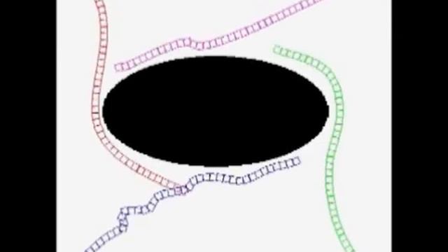 Supplementary material for paper Rapidly-exploring Random Graphs смотреть онлайн