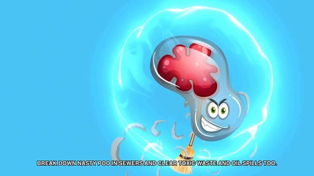 What is Bacteria and its Function? | Bacteria in Biology смотреть онлайн