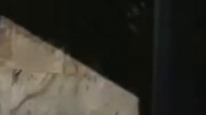 Всё наоборот / 1981