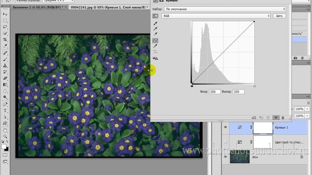 Как сделать черно-белую фотографию в фотошопе | Проблемы перевода цветного изображения в черно-бело смотреть онлайн