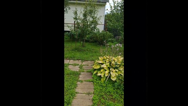 Продаю дачу в Московской области. Стремилово. СНТ "Вишневый сад". Чеховский г.о. смотреть онлайн