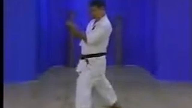 Shisochin Bunkai Goju-ryu Karate Morio Higaonna