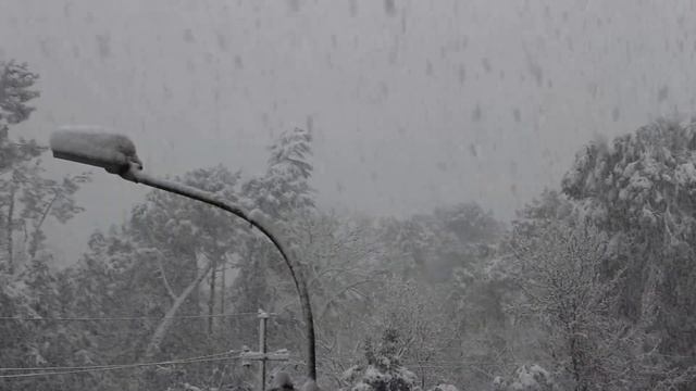 20 01 2022 КАК ОБАЛДЕННО ПАДАЕТ СНЕГ в Кобулети Видео Роберт Мартиросян Аджария Грузия смотреть онлайн