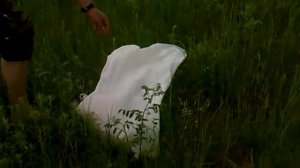 Ловля селедки на Волге в Цаган Амане