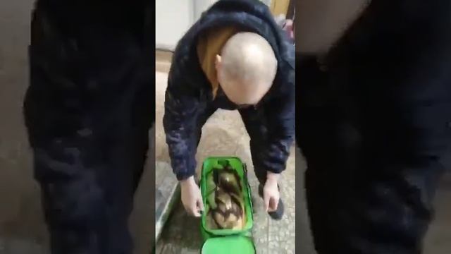 15.09.2022г. Разнорыбица. Клёвое местечко. Камское устье смотреть онлайн