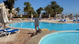 Movenpick Resort & Spa El Gouna Египет, Эль-Гуна | Египетские Мальдивы ?