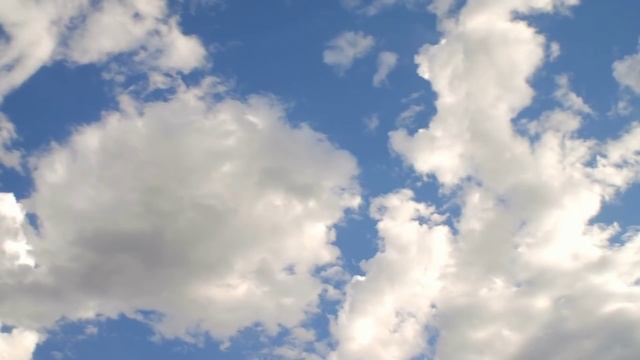 ЛИ СЯО. Алиса - Лиса. Утренние разговоры. Немного Нового года летом. Сонная лиса. Забавные моменты. смотреть онлайн