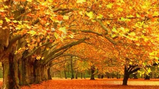 Я и не спрошу смотреть онлайн