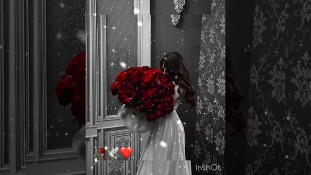 Цыганская песня 2023(года) Каралева?цветов⚜️мая роза??? смотреть онлайн