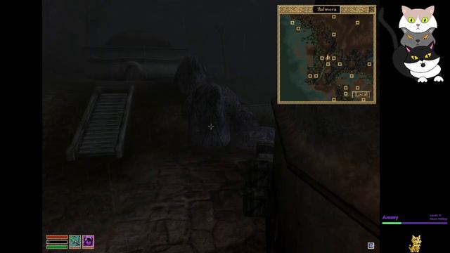 The Elder Scrolls: Morrowind - New Khajiit in Town - Part 73 смотреть онлайн