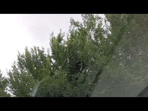 Калиновские. Путь домой 2 смотреть онлайн