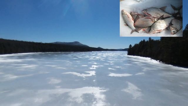 Прогноз клева рыбы на эту неделю с 15 по 31 Декабря Календарь рыбака на Декабрь Прогноз клева рыбы смотреть онлайн