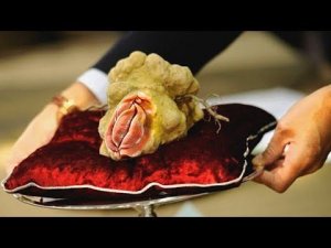 Самое Дорогое и Редкое Блюдо В Мире