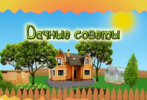 Дачные советы Галины Старосельцевой Апрель 28-2022
