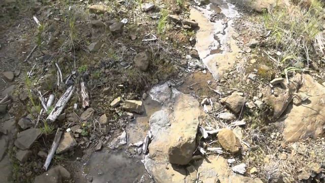 Щётки, платина & Rock'n Roll смотреть онлайн