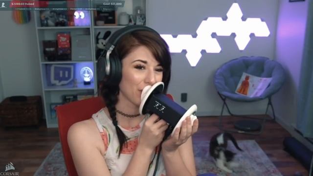 ASMR But You're A Cat Owner смотреть онлайн