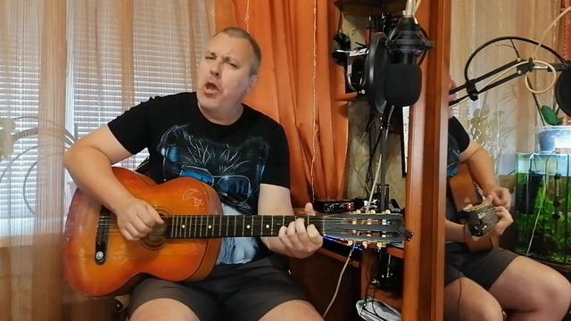 Песенка про сыр смотреть онлайн