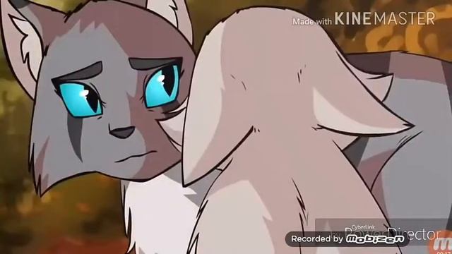Echo Коты Воители Искра смотреть онлайн