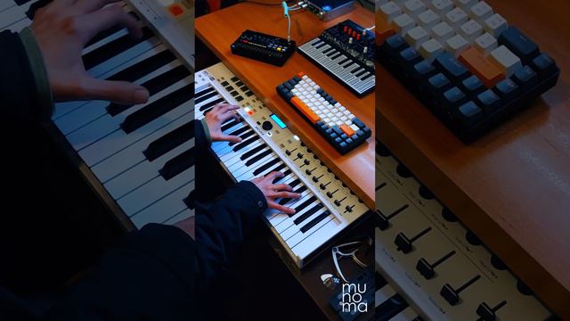 Mr. President - Coco Jamboo (Live Loop Cover смотреть онлайн