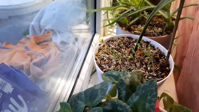 Удобрение для природного землиделия смотреть онлайн