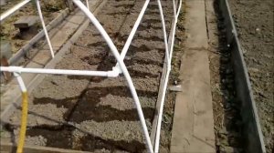 Парник для огурцов своими руками