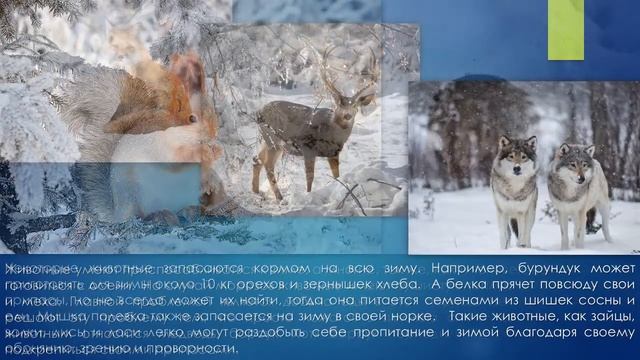 Бродят по лесу зимние сказки Познавательный онлайн урок смотреть онлайн