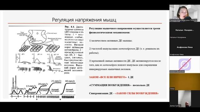 Физиология мышечной деятельности / Physiology Of Muscular Activity.