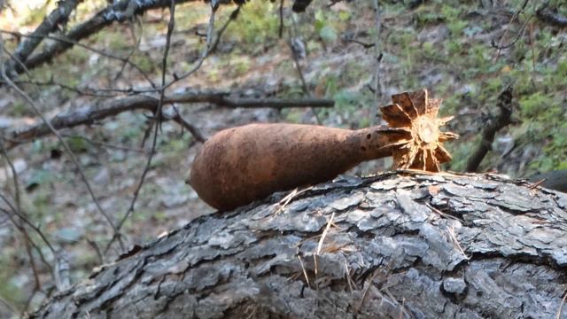 Славянск. 20 марта 2022 смотреть онлайн