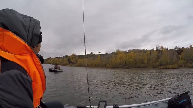 Рыбалка на Томи. Городская рыбалка. Закрытие сезона 2020 смотреть онлайн