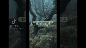 -/?♀️Всё для Ведьмочек?-травниц?♀️-фей?\-