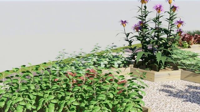 Hexagon vegetable garden смотреть онлайн