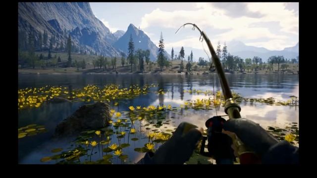 Рыбы в Объективе